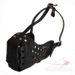 Leather Dog Muzzle for Attack, Agitation and Max Protection