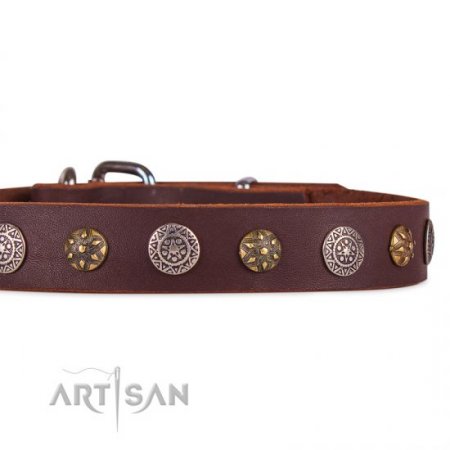 Adorned Brown Leather Dog Collar For Dogs 1 In Width