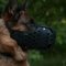 Closed K9 Dog Muzzle for German Shepherd Dog Training