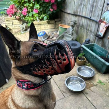 Belgian Shepherd Muzzle with Flame Painted Design