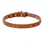 Puppy Collar UK New Collection in Stellar-Studded Style