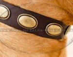 Leather Dog Collar for Dogue De Bordeaux Gorgeous Style!