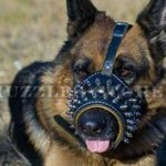 Gladiator Style Designer Dog Muzzle for German Shepherd