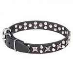 Beautiful Leather Dog Collar "Shining Stars" 1 1/5 inch (30 mm)