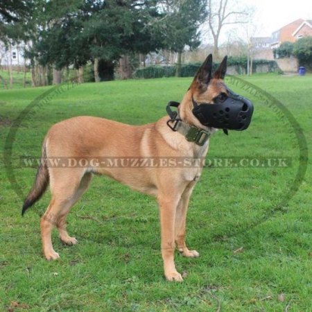 Agitation Dog Muzzle UK | Belgian Malinois Muzzle K9