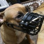 Rubber-Coated Pitbull Cage Muzzle for Large Dogs for Any Weather