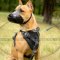 Pitbull Training Dog Muzzle of Strong Leather Design