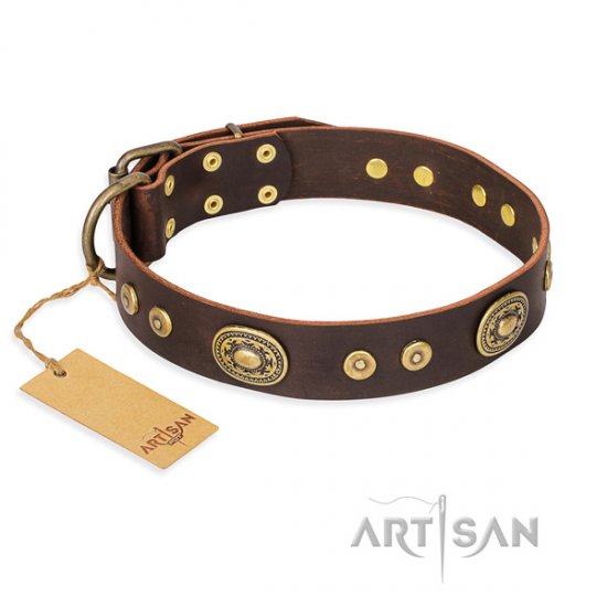 New Leather Dog Collar with Bronze-Like Studs 'One-of-a-Kind'