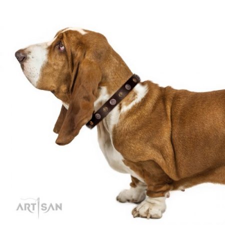Adorned Brown Leather Dog Collar For Dogs 1 In Width