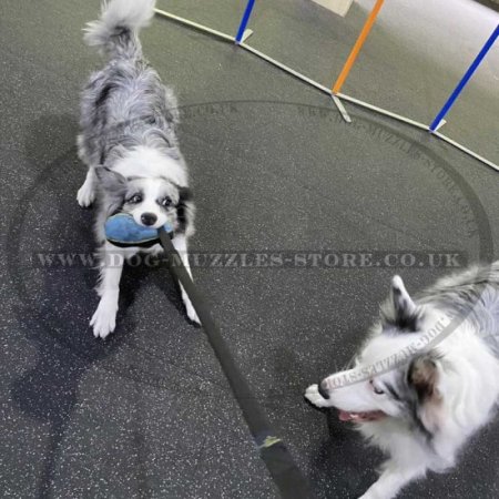 Soft Dog Bite Tug Toy with a T-Handle