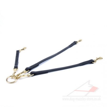 New! Triple Dog Slip Lead "Inseparable Friends"