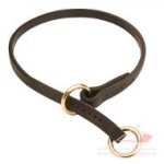 Slip Dog Collar | Choke Dog Leather Collar