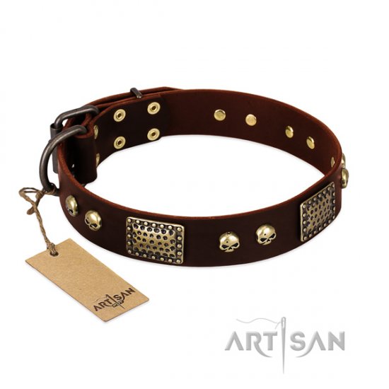 Fancy Brown Dog Collar 'Magic Amulet'