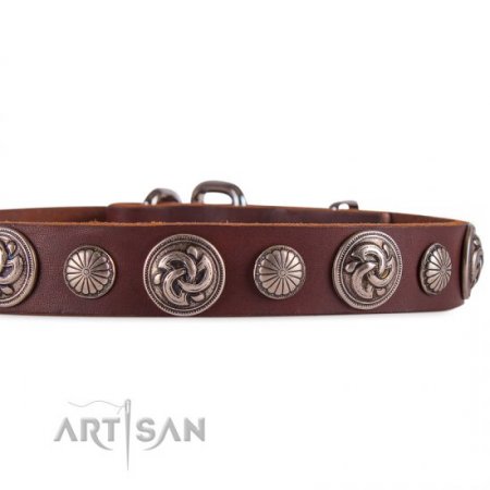 Designer Studded Dog Collar With Round Ornaments FDT Artisan