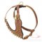 Royal Dog Harness with Brass Spikes | Large Dog Harness