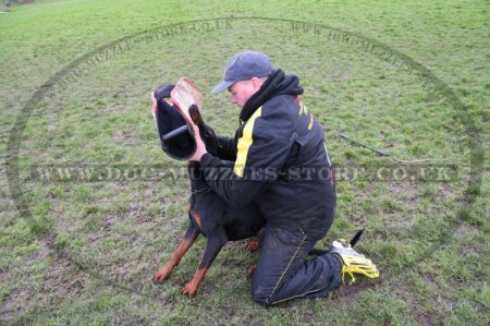 Anti-Scratch Suit for Dog Training with Removable Sleeve