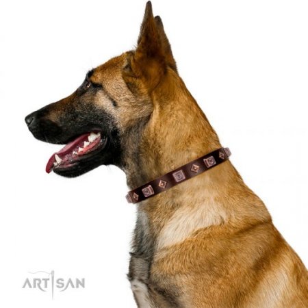 Best Brown Thick Studded Dog Collar FDT Artisan For Active Walk
