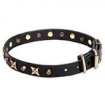 Best Leather Dog Collar Decorated with Stars and Pyramids