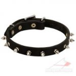 Exotic Spiked Leather Dog Collar