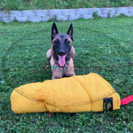 French Linen Working Dog Bite Sleeve For Young Dog Training