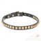 Dog Walking Collar Studded with Square Brass Pyramids