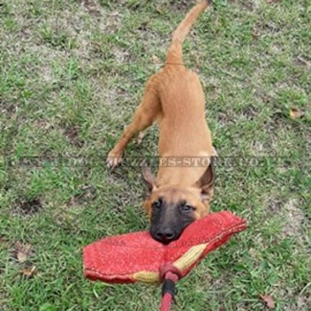 Soft French Linen Dog Bite Pad "Tear" For Puppies’ Training