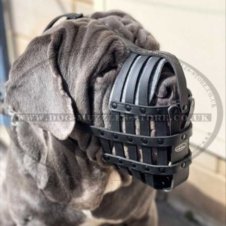 Bestseller Shar Pei Dog Muzzle of Soft Leather, Super Air-Flow