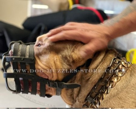 XL Bully Dog Muzzle Basket Real Leather