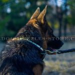 Best Leather Dog Collar with Vertical Plates for German Shepherd