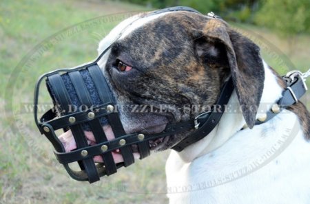 Bestseller!Soft Muzzle for American Bulldog Made of Real Leather