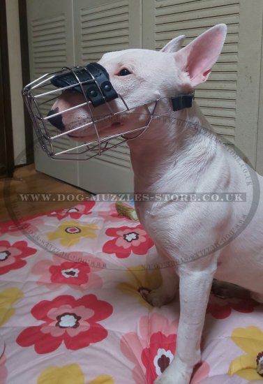 Wire Basket Dog Muzzle That Allows Drinking and Eating