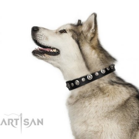 Luxury Black Leather Dog Collar with Studs FDT Artisan