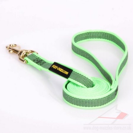 Extra Durable Nylon Training Lead For Dogs 0.8 In Width