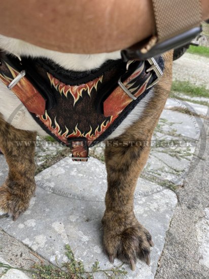 Handmade Dog Harness "Flame" | Luxury Dog Harness UK Painted