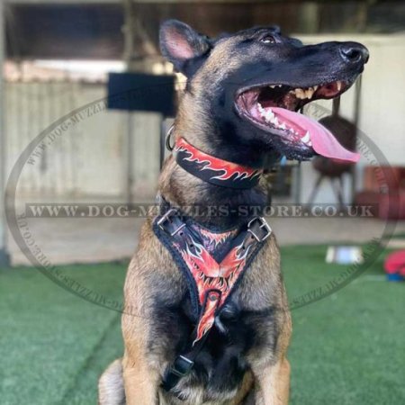 Luxury Dog Harness for German Shepherds for Sale from Producer