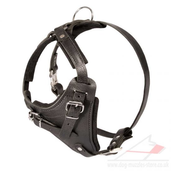 Agitation Training Padded Leather Dog Harness UK Pro Design - Click Image to Close