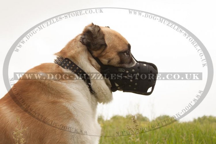 Strong&Big Shepherd Muzzle, Closed Basket for Maximum Protection