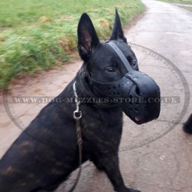 Closed K9 Dog Muzzle for German Shepherd Dog Training