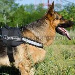 German Shepherd Harness with Reflective Trim and Sign Patches
