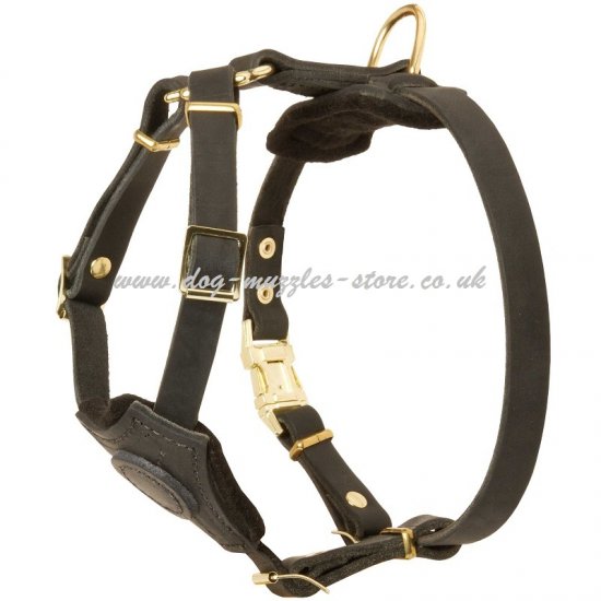 New Small Leather Dog Harness for Puppies and Small Dogs