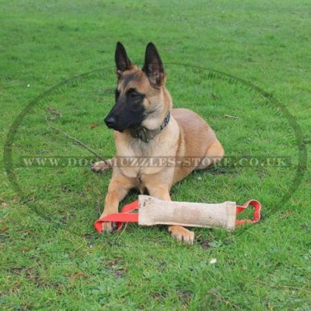 Jute Dog Bite Tug with 2 Handles for Dog Motivation in Training