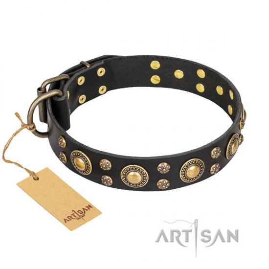 Great Black Dog Collar with Studs FDT Artisan 'Baroque Chic'