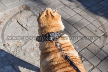 "Perfect Look" Ultramodern Brown Leather Dog Collar For Shar Pei