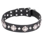 Gorgeous Leather Dog Collar Studded with Glaring Medals