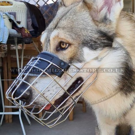 Wire Basket Dog Muzzle That Allows Drinking and Eating