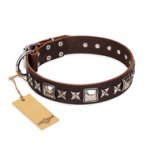 Great Brown Dog Collar FDT Artisan 'Perfect Impression'