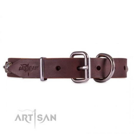Exclusive Brown Leather Dog Collar With Nameplate UK