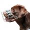 Labrador Dog Wire Muzzle | Wire Dog Muzzle for Labrador