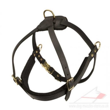 Spaniel Dog Body Harness with Chest Strap Real Leather Padded