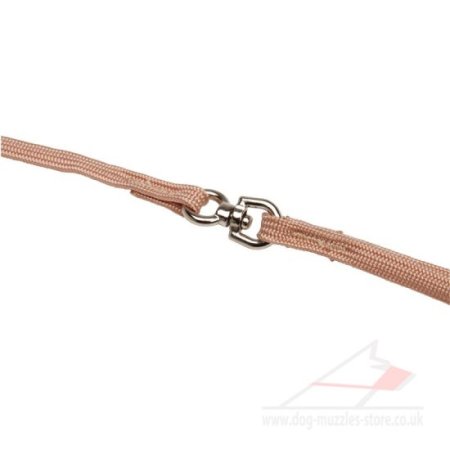 Tan Nylon Dog Collar and Leash 2 in 1 for a Dog Show